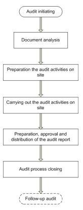 ISO audit IT